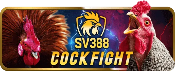 Ưu đãi và khuyến mãi 88nn123